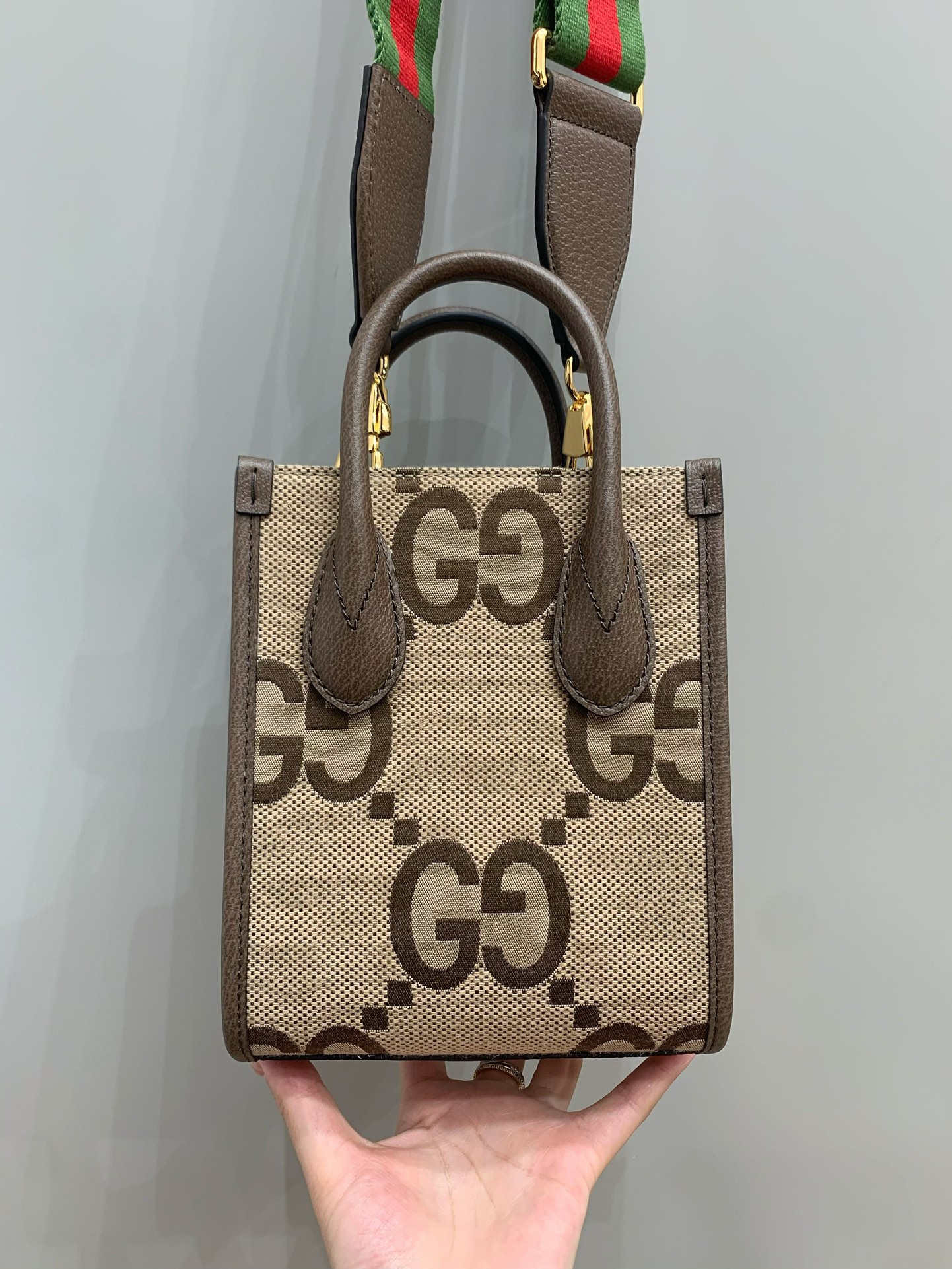 Mini Tote bag