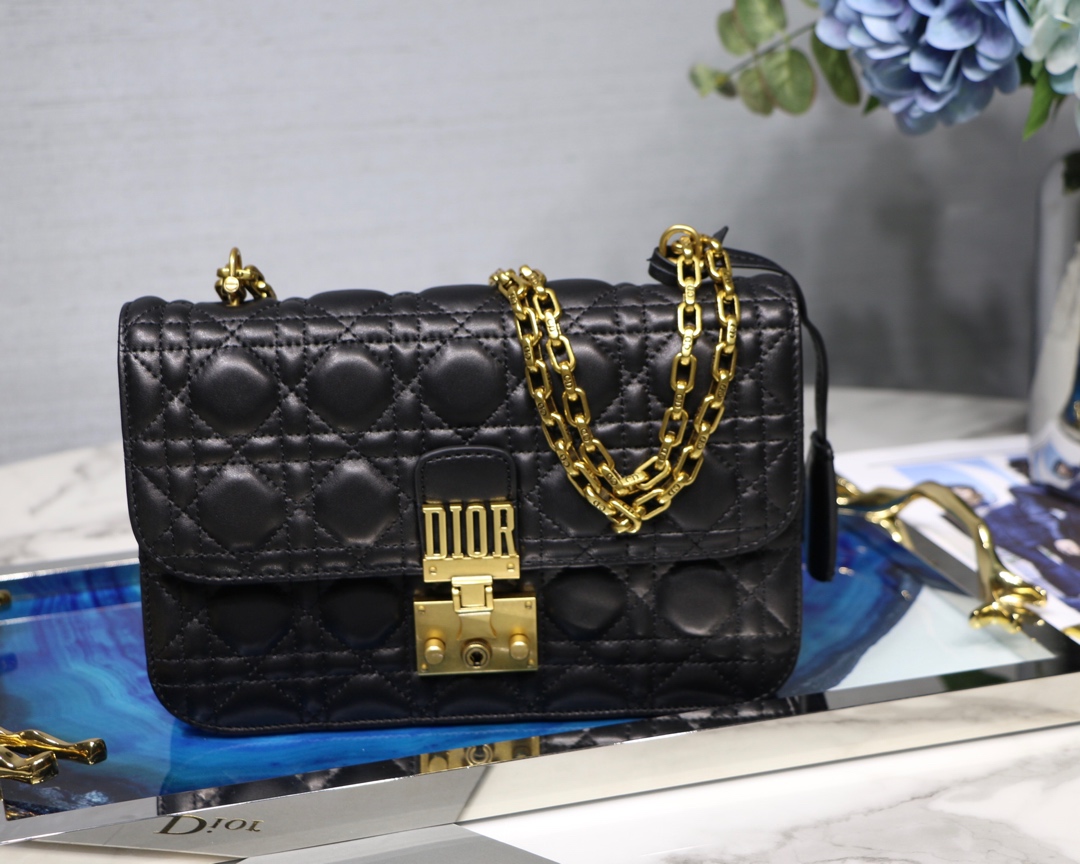 D10r Addict Chain bag