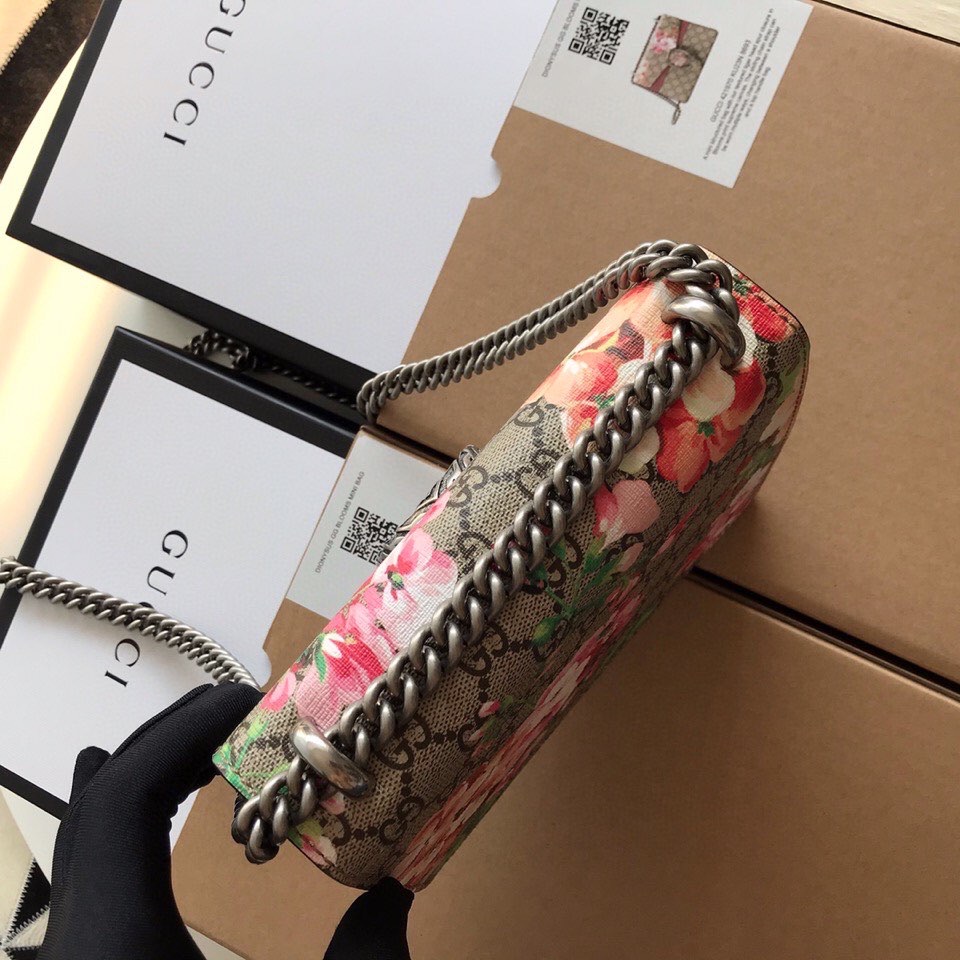 Dionysus GG Svp*me mini bag