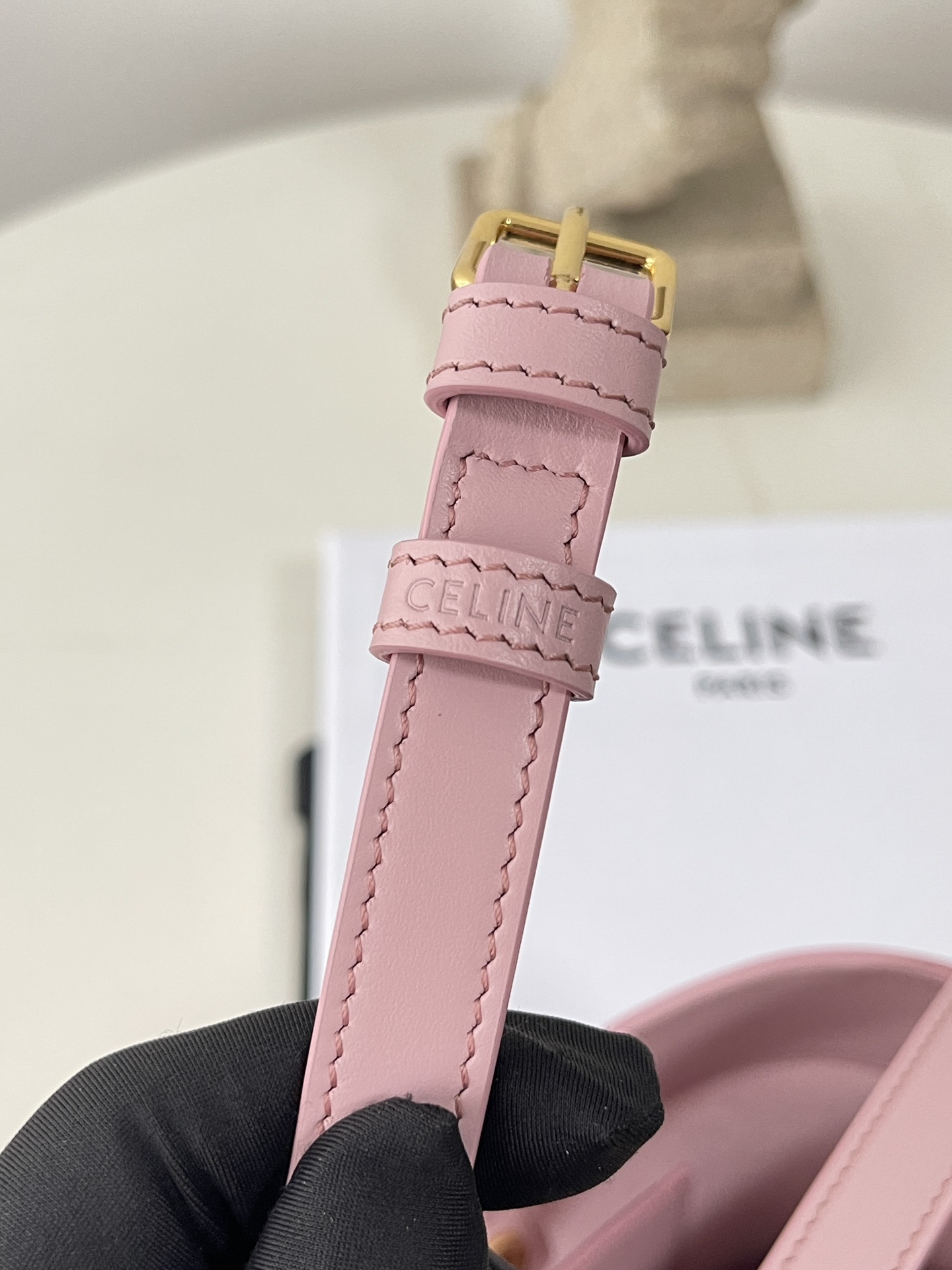 Ce1i*e Leather bag