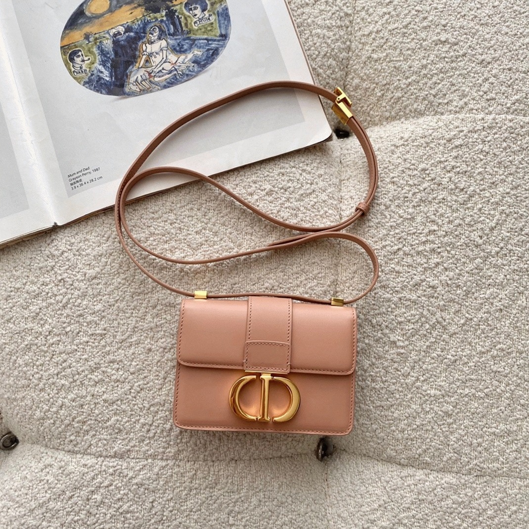 D10r 30 Montaigne Micro Bag Replica in Poudre Box Calfskin
