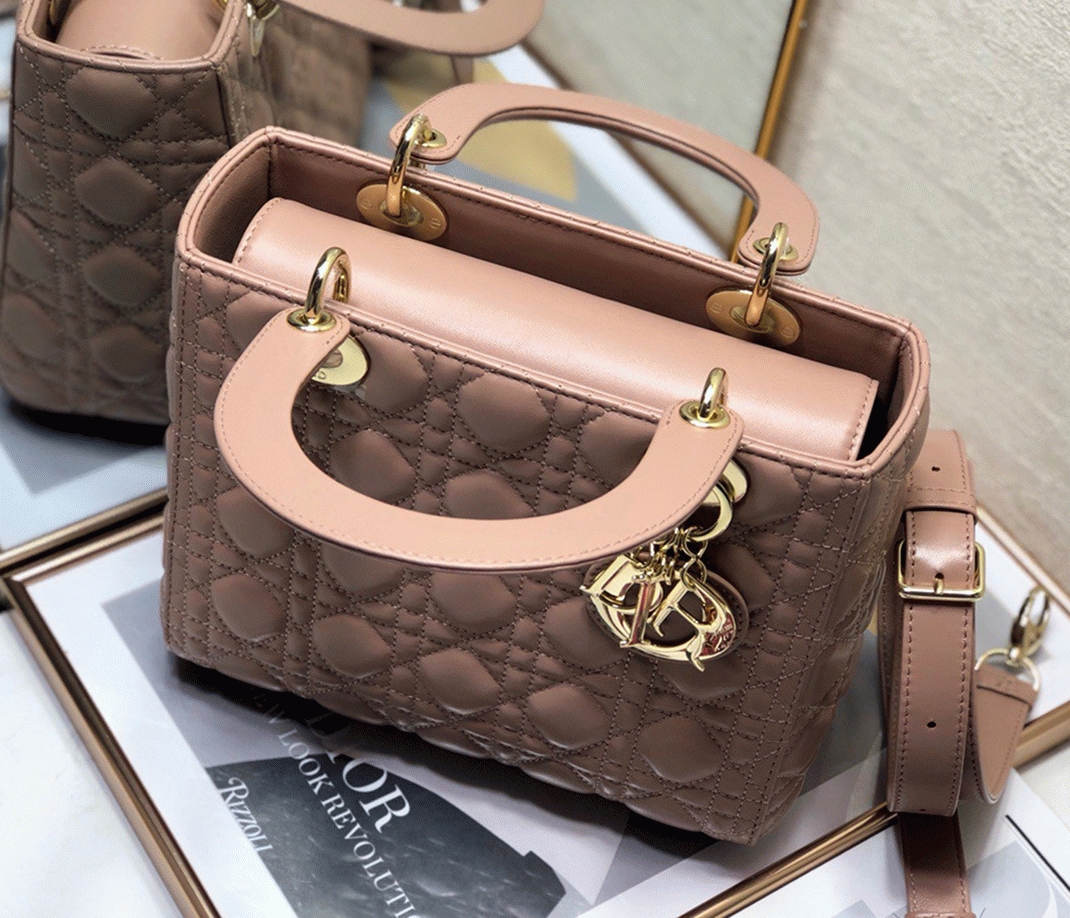 D10r Lady D10r Medium Bag Fake in Blush