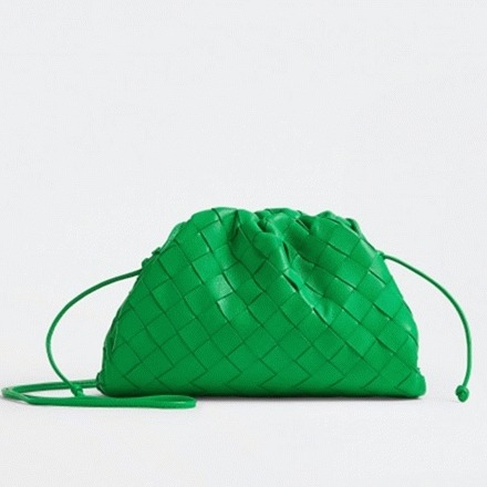 Faux B0tt*ga Ven*ta Mini Pouch with Strap Parakeet