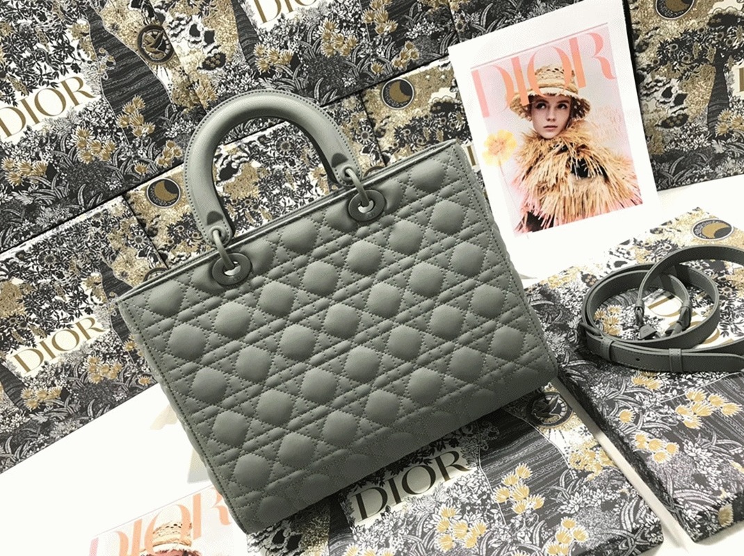 D10r Lady D10r Large Bag Fake in Grey