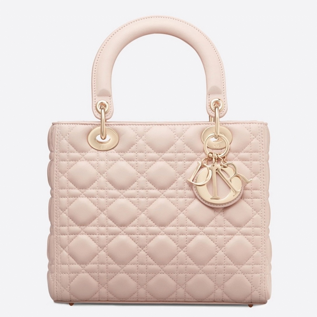 D10r Lady D10r Medium Bag Replica in Powder