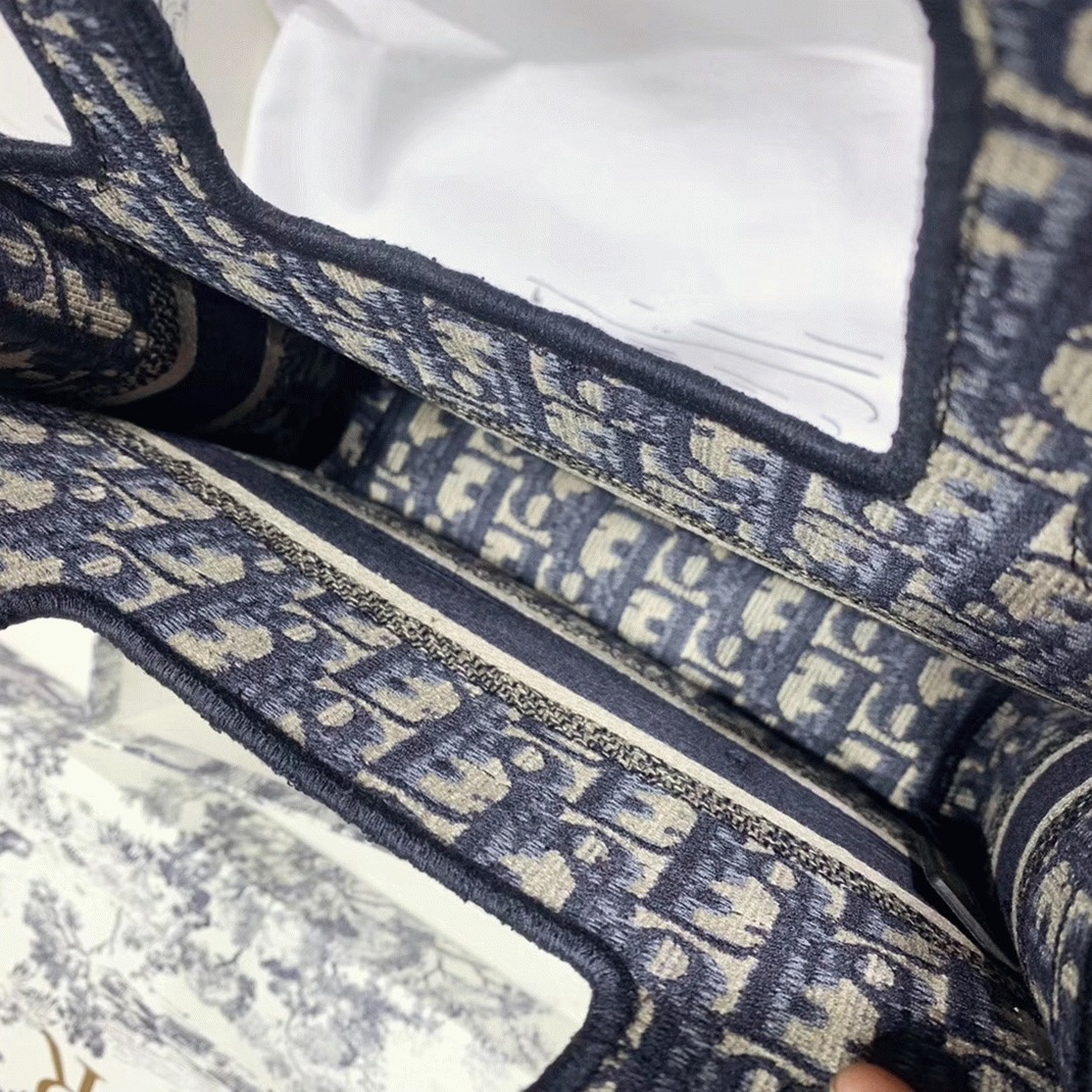 D10r Mini Book Tote Bag Fake in Blue D10r Oblique Embroidery