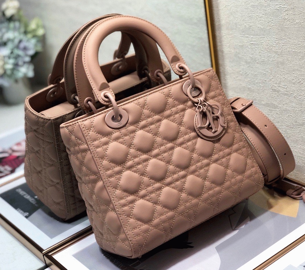 D10r Lady D10r Medium Bag Fake in Blush