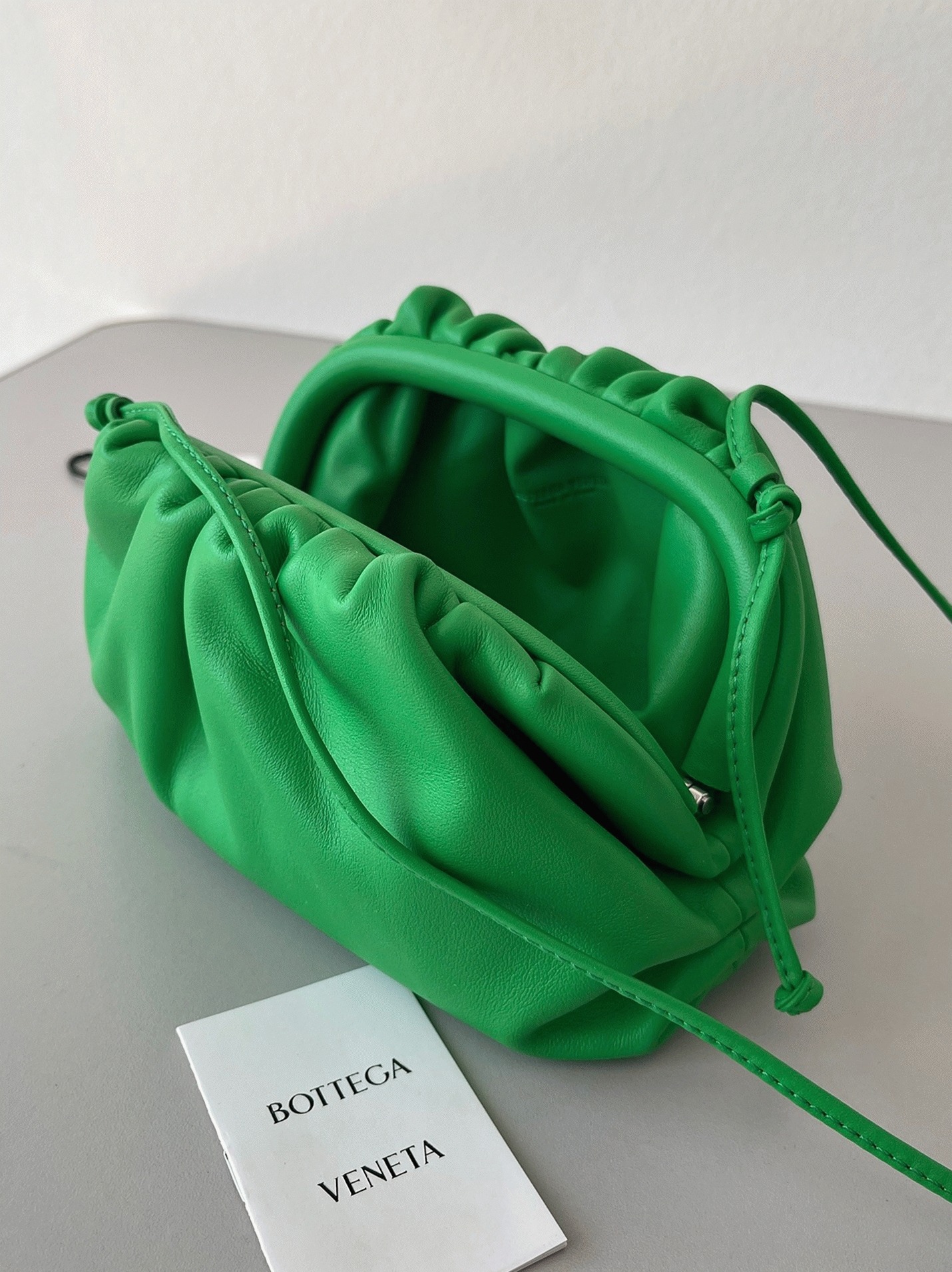 Fake B0tt*ga Ven*ta Mini Pouch with Strap Parakeet