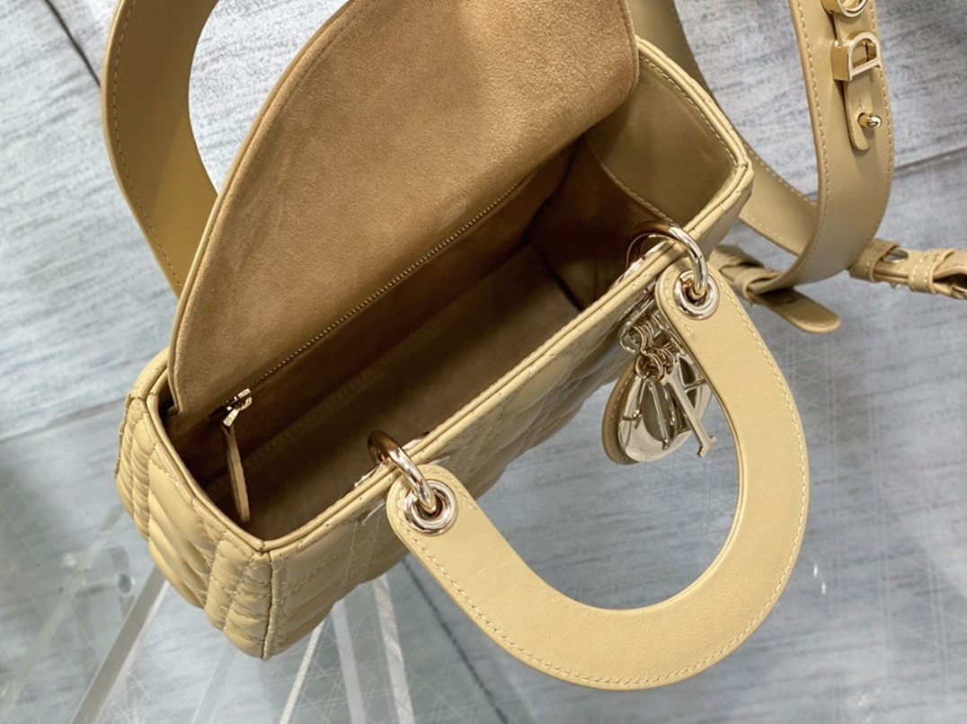 D10r Small Lady D10r My ABCD10r Bag Fake in Pastel Yellow