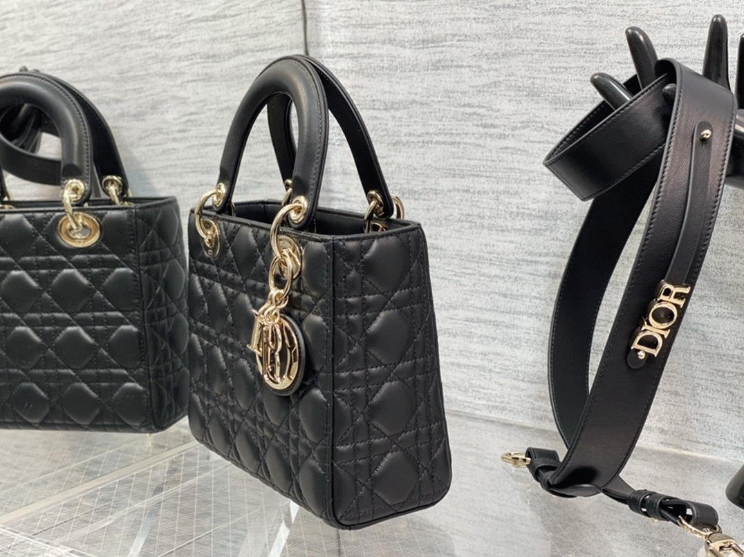 D10r Small Lady D10r Bag Replica in Black