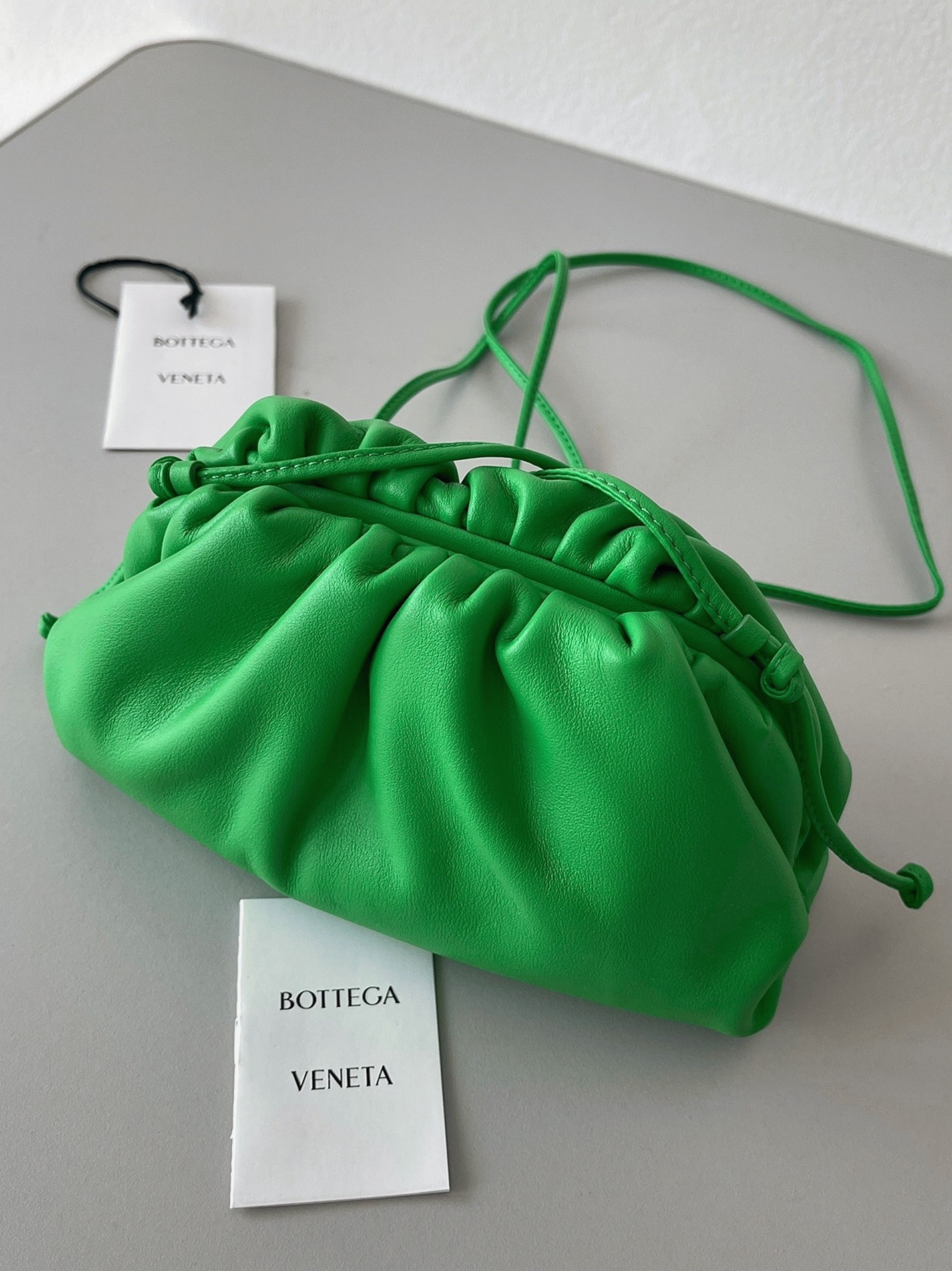 Fake B0tt*ga Ven*ta Mini Pouch with Strap Parakeet