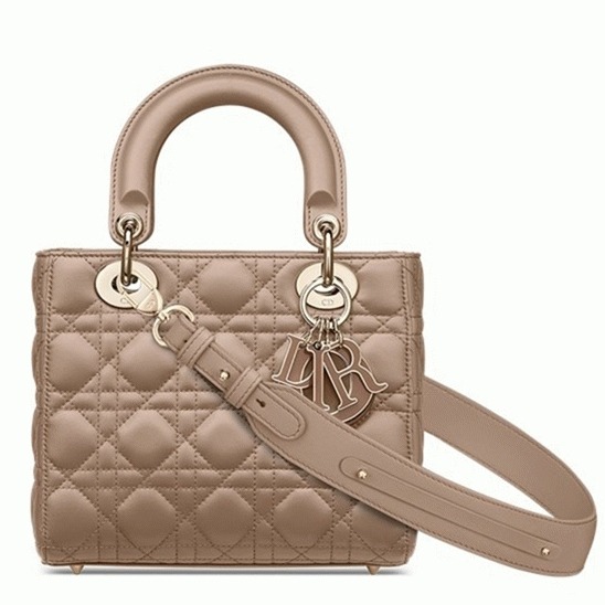 D10r Small Lady D10r My ABCD10r Bag Fake in Warm Taupe
