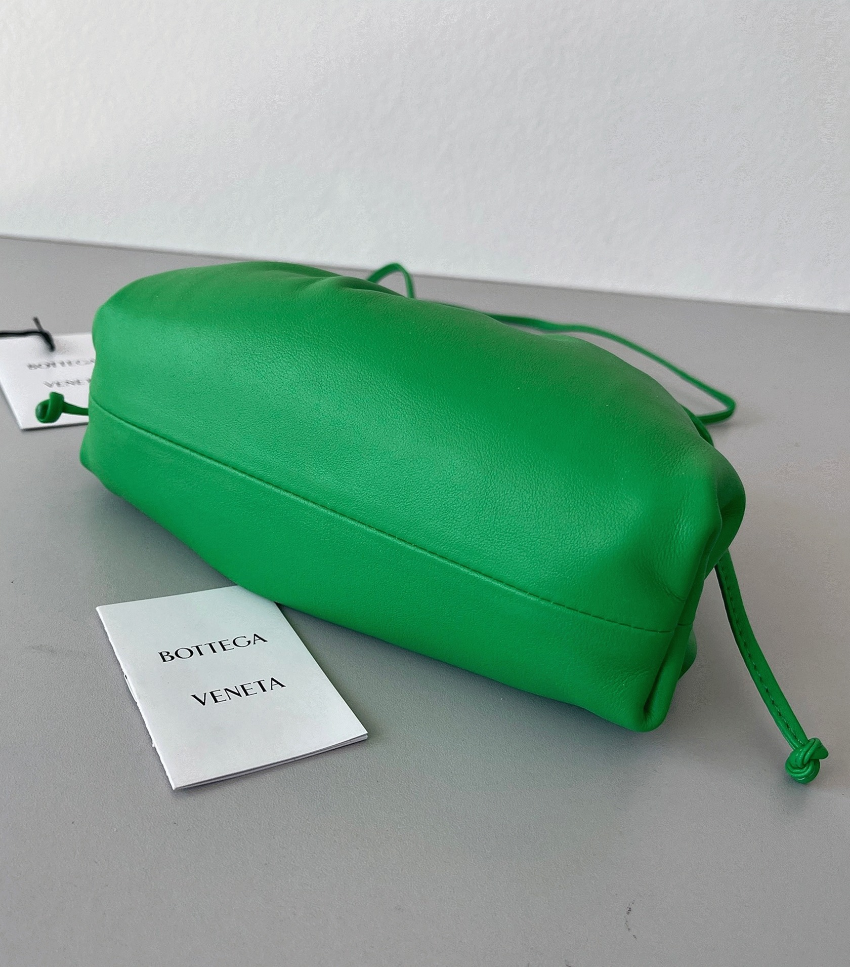 Fake B0tt*ga Ven*ta Mini Pouch with Strap Parakeet