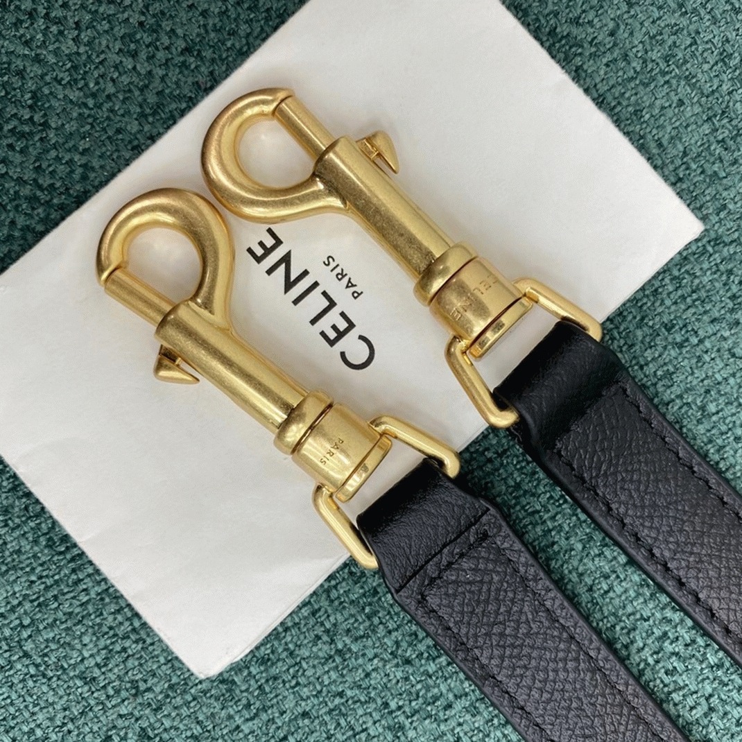 Ce1i*e Micro Belt Bag Fake in Black