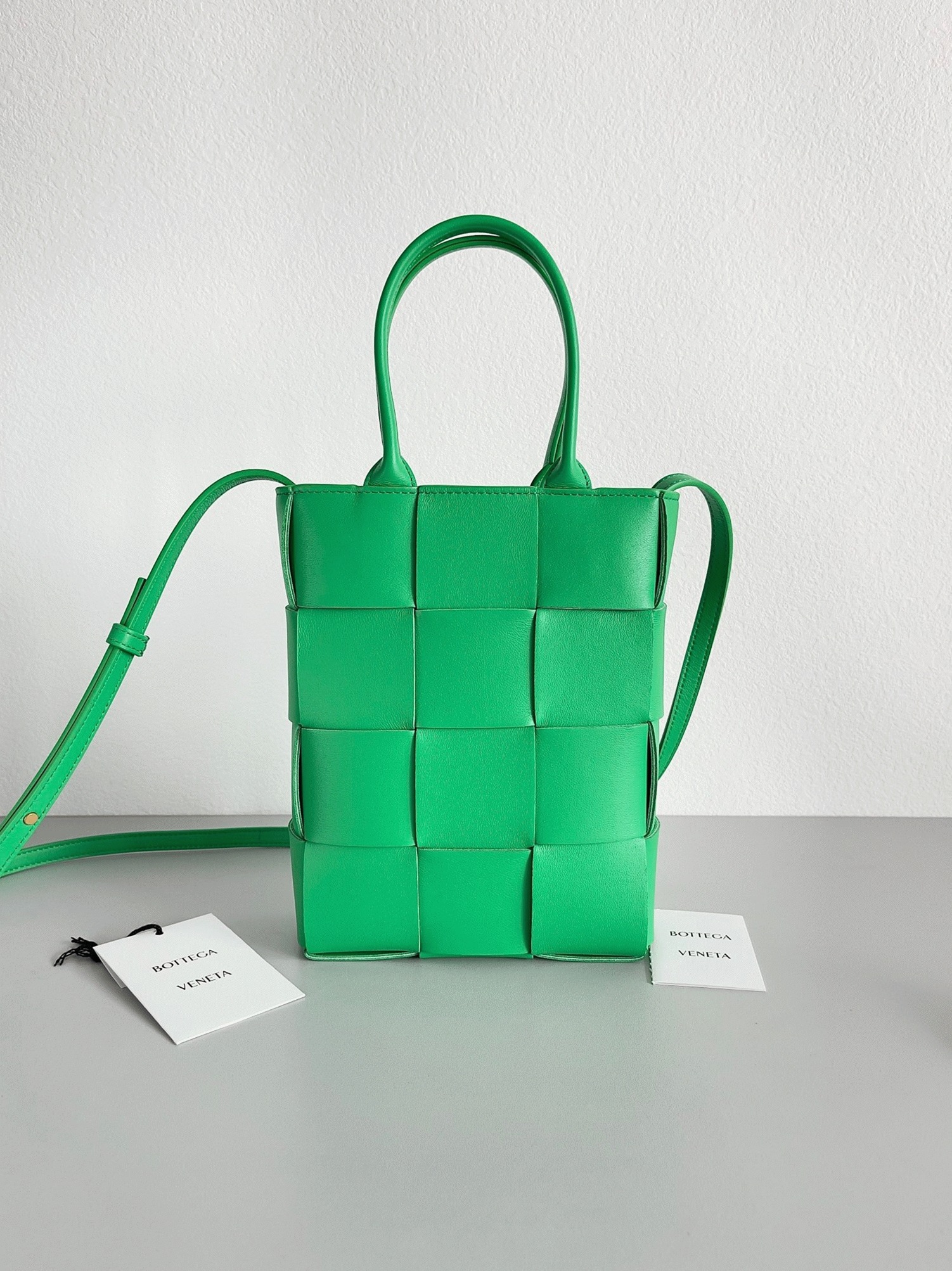 Fake B0tt*ga Ven*ta Cassette Mini Tote Bag Parakeet