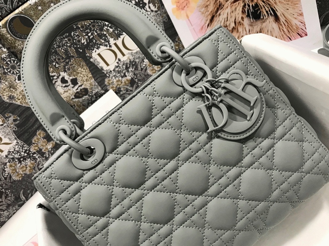 D10r Lady D10r Medium Bag Replica in Grey