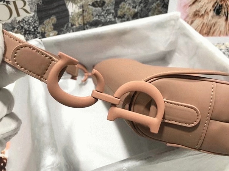 D10r Saddle Bag Replica in Blush Ultramatte Calfskin