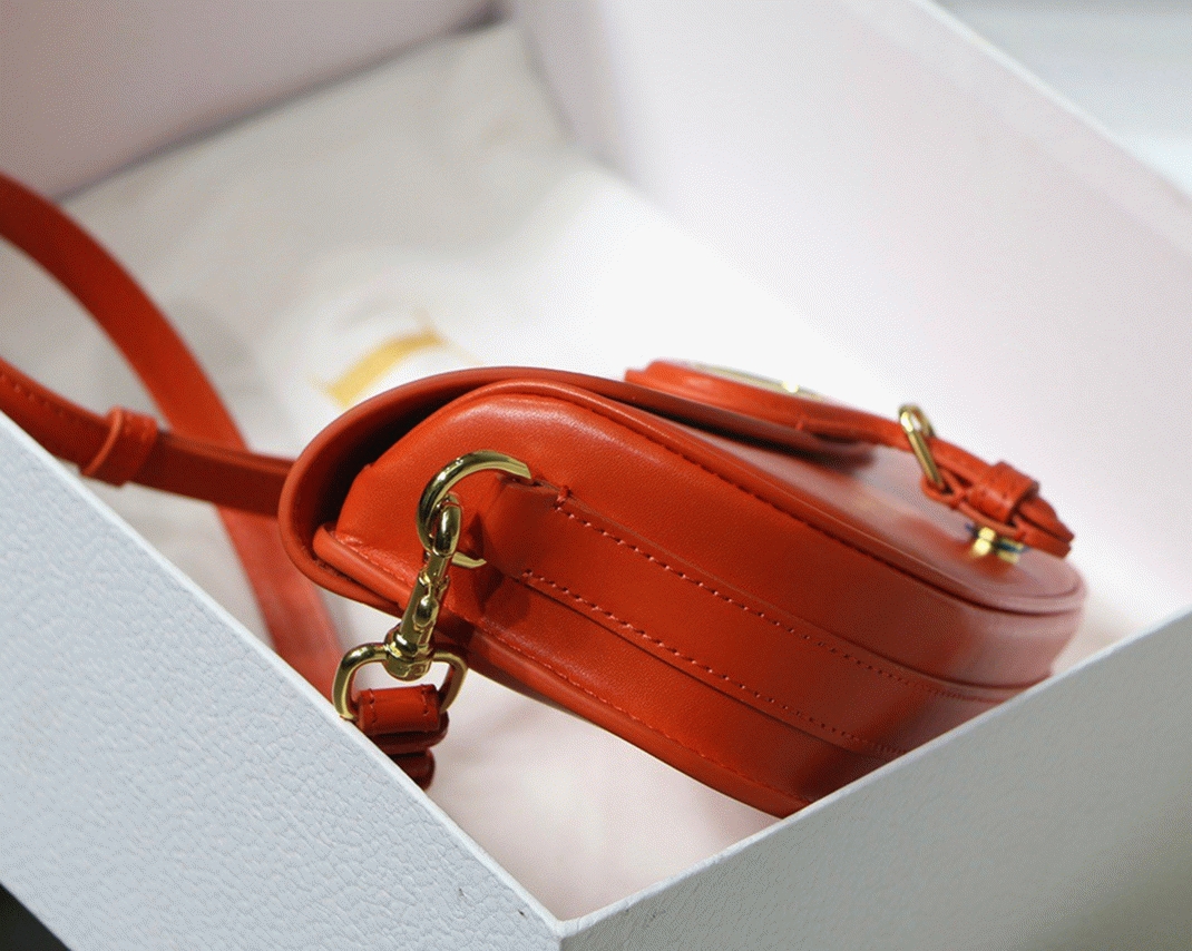 D10r Bobby East-West Bag Replica in Orange