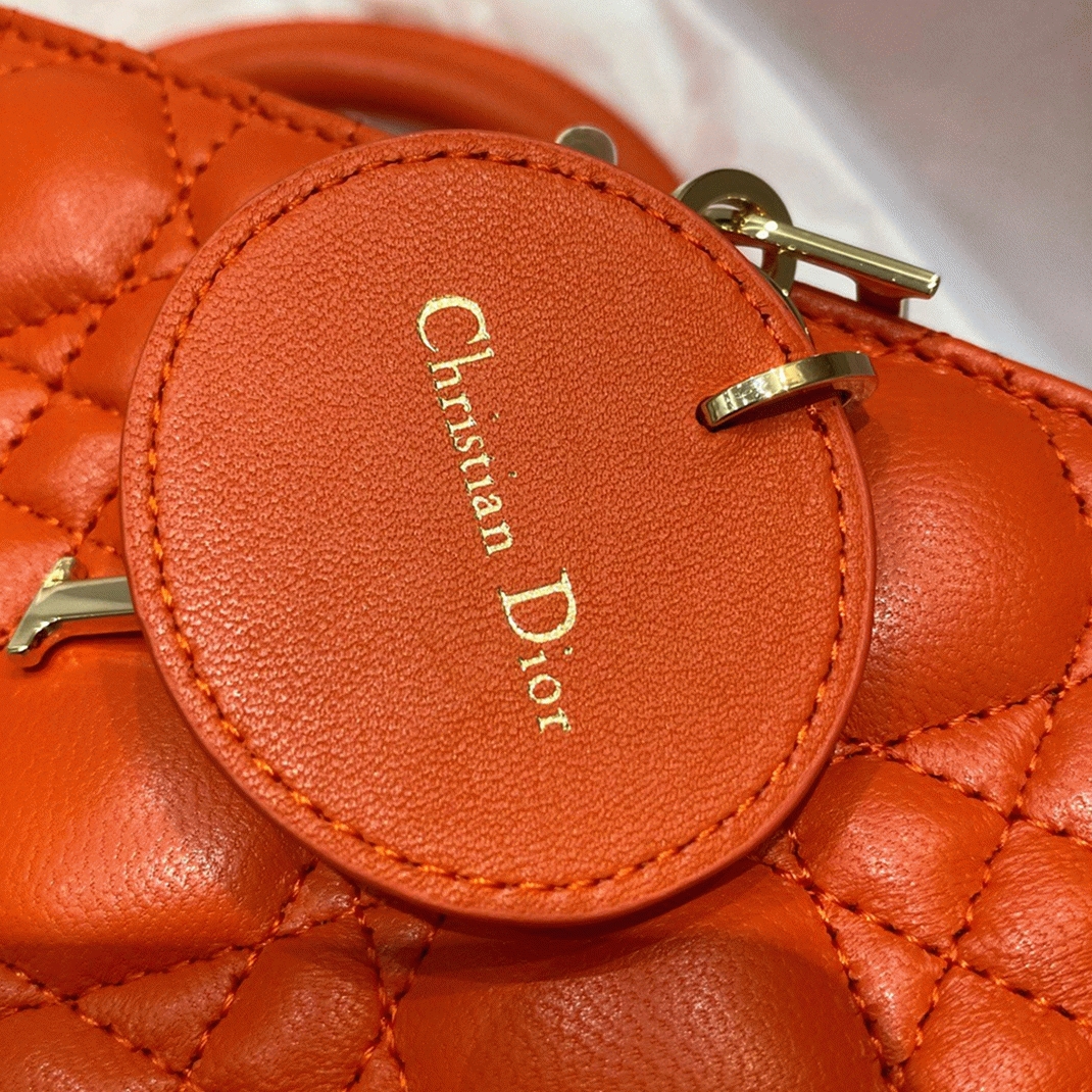 D10r Lady D-Joy Medium Bag Replica in Orange