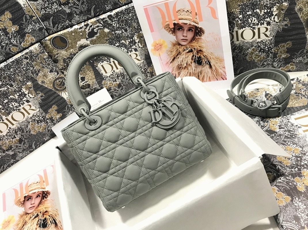 D10r Lady D10r Medium Bag Replica in Grey