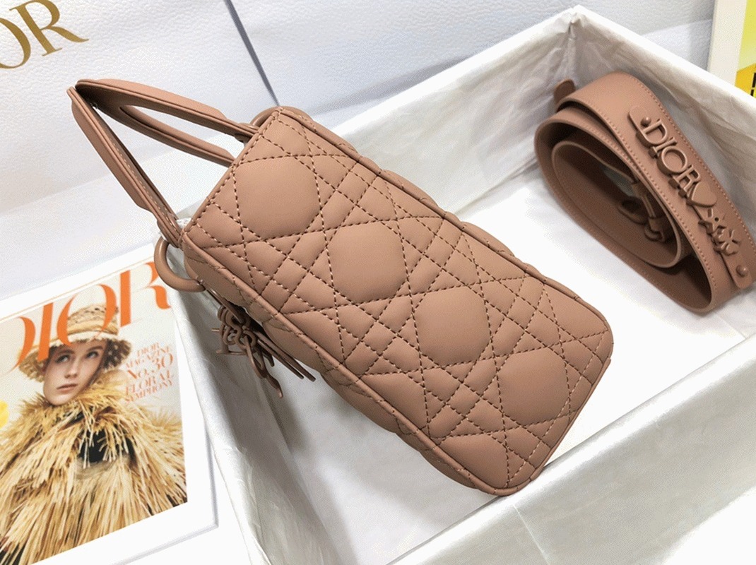 D10r Small Lady D10r My ABCD10r Bag Replica in Blush