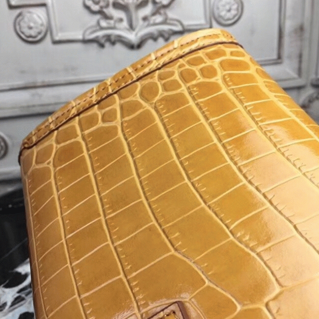 Camarel Replica AAA H**me5 Jige Elan 29 Earth Tone Clutch