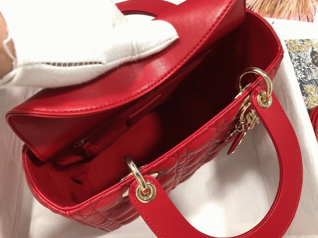 D10r Lady D10r Medium Bag Faux in Red