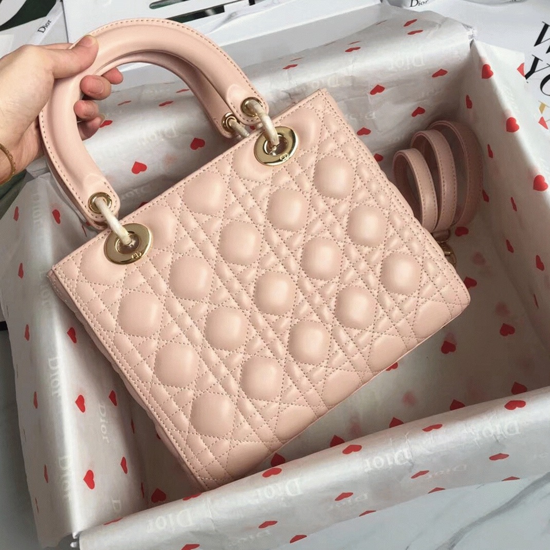 D10r Lady D10r Medium Bag Replica in Powder
