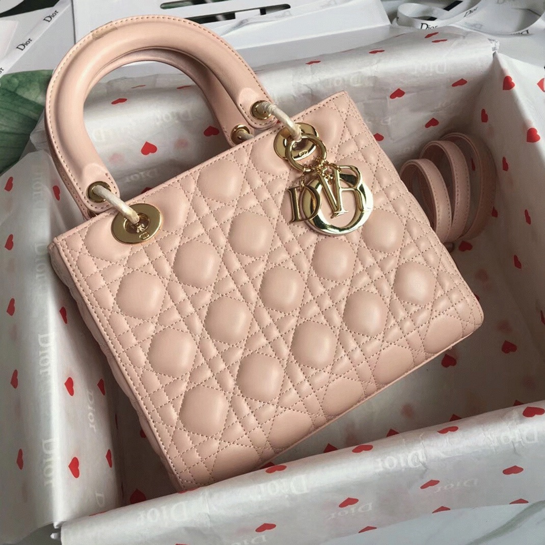 D10r Lady D10r Medium Bag Replica in Powder