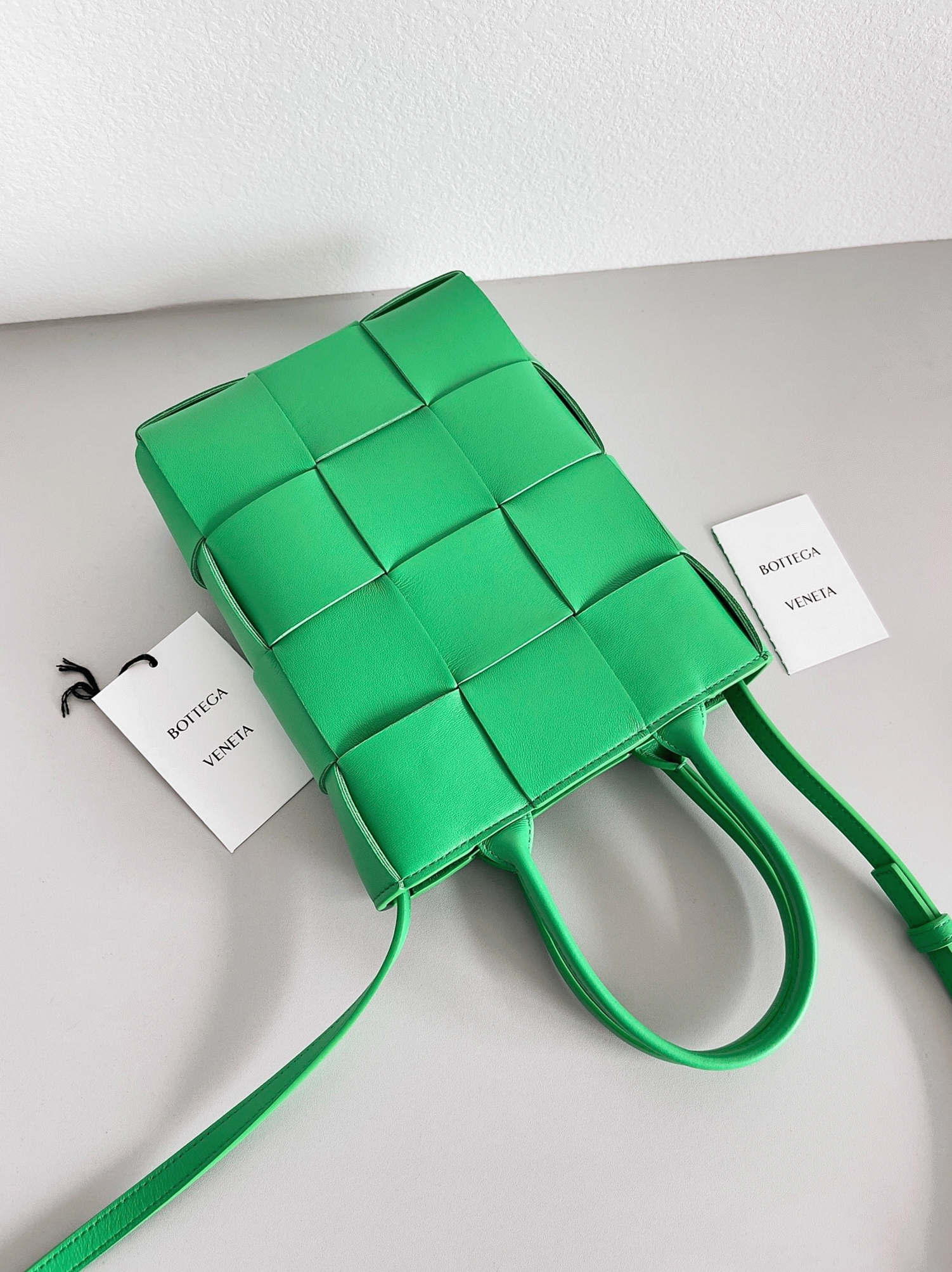 Fake B0tt*ga Ven*ta Cassette Mini Tote Bag Parakeet