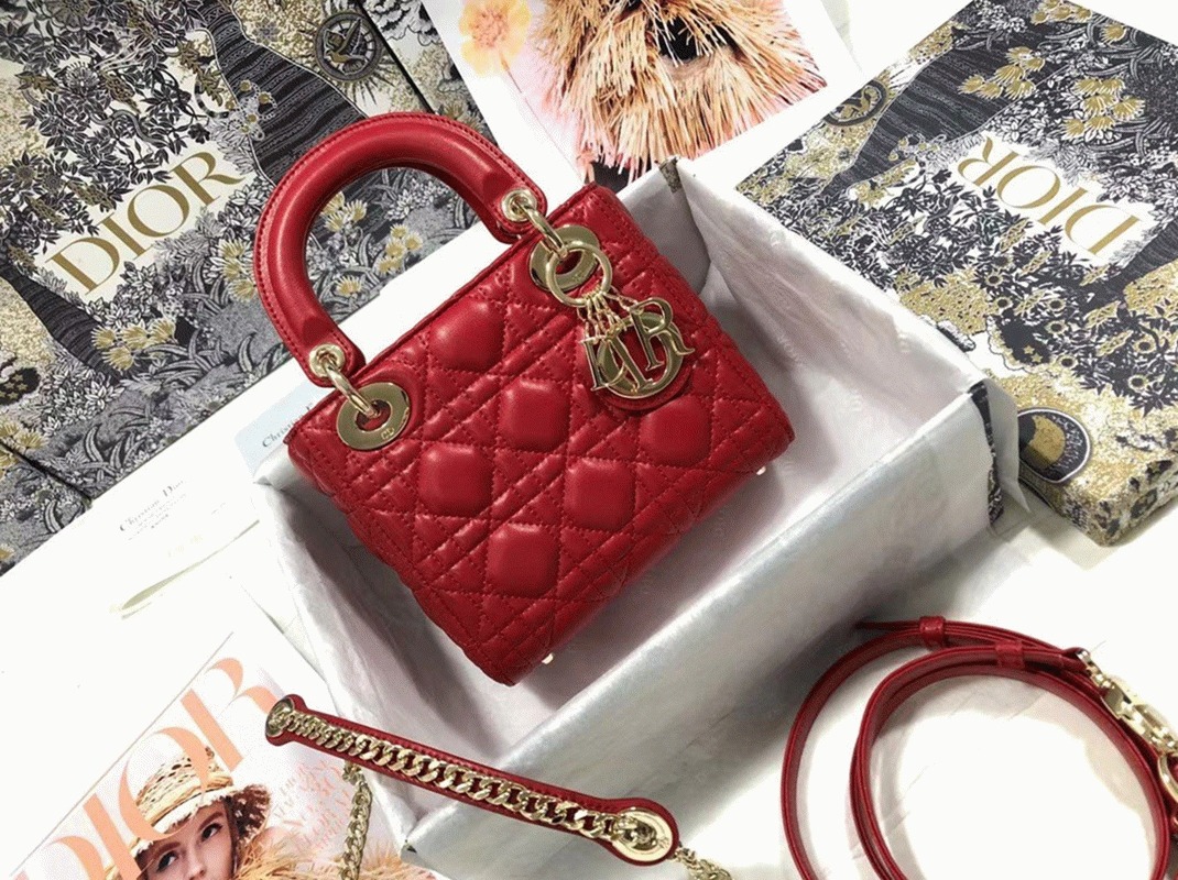 D10r Lady D10r Mini Bag Knockoff in Red
