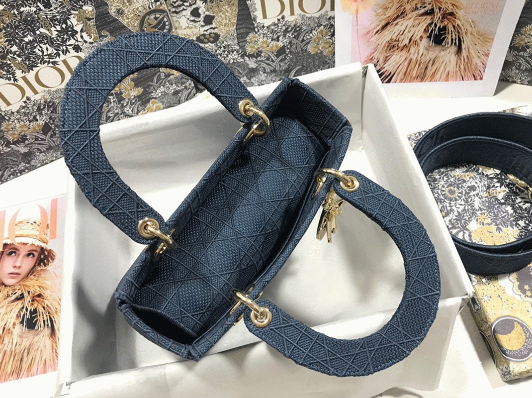 D10r Lady D-Lite Medium Bag Fake in Blue Cannage Embroidered Canvas