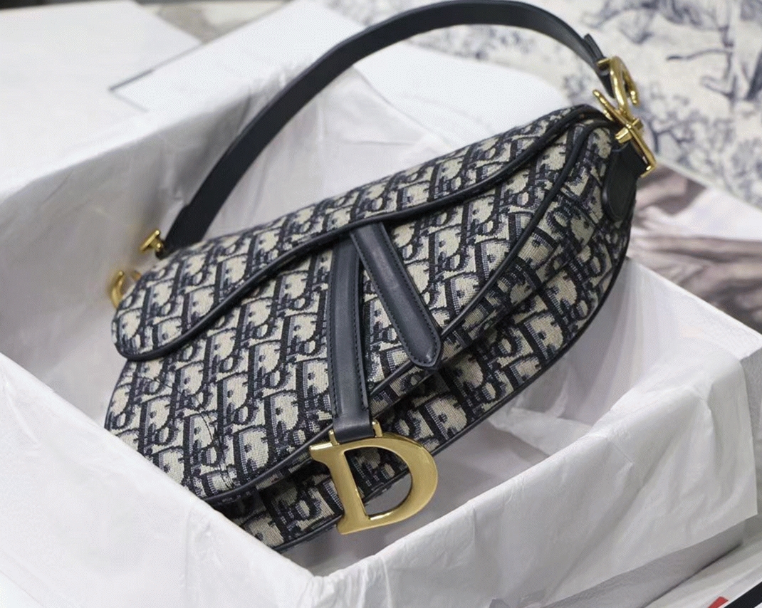 D10r Saddle Bag Knockoff in Blue D10r Oblique Jacquard