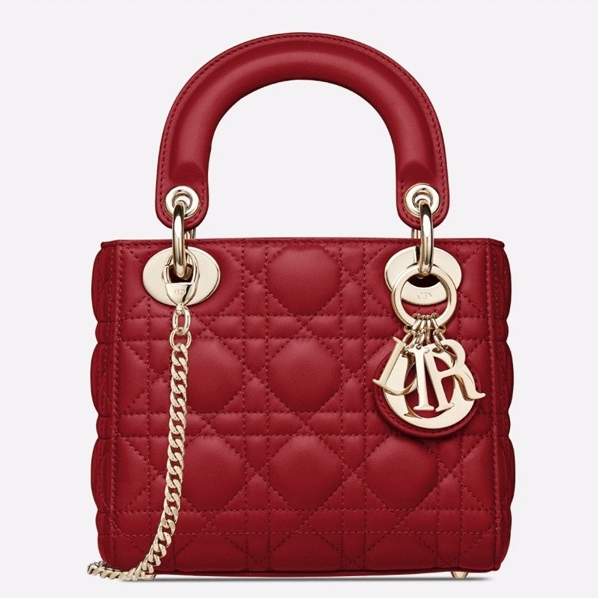 D10r Lady D10r Mini Bag Knockoff in Red