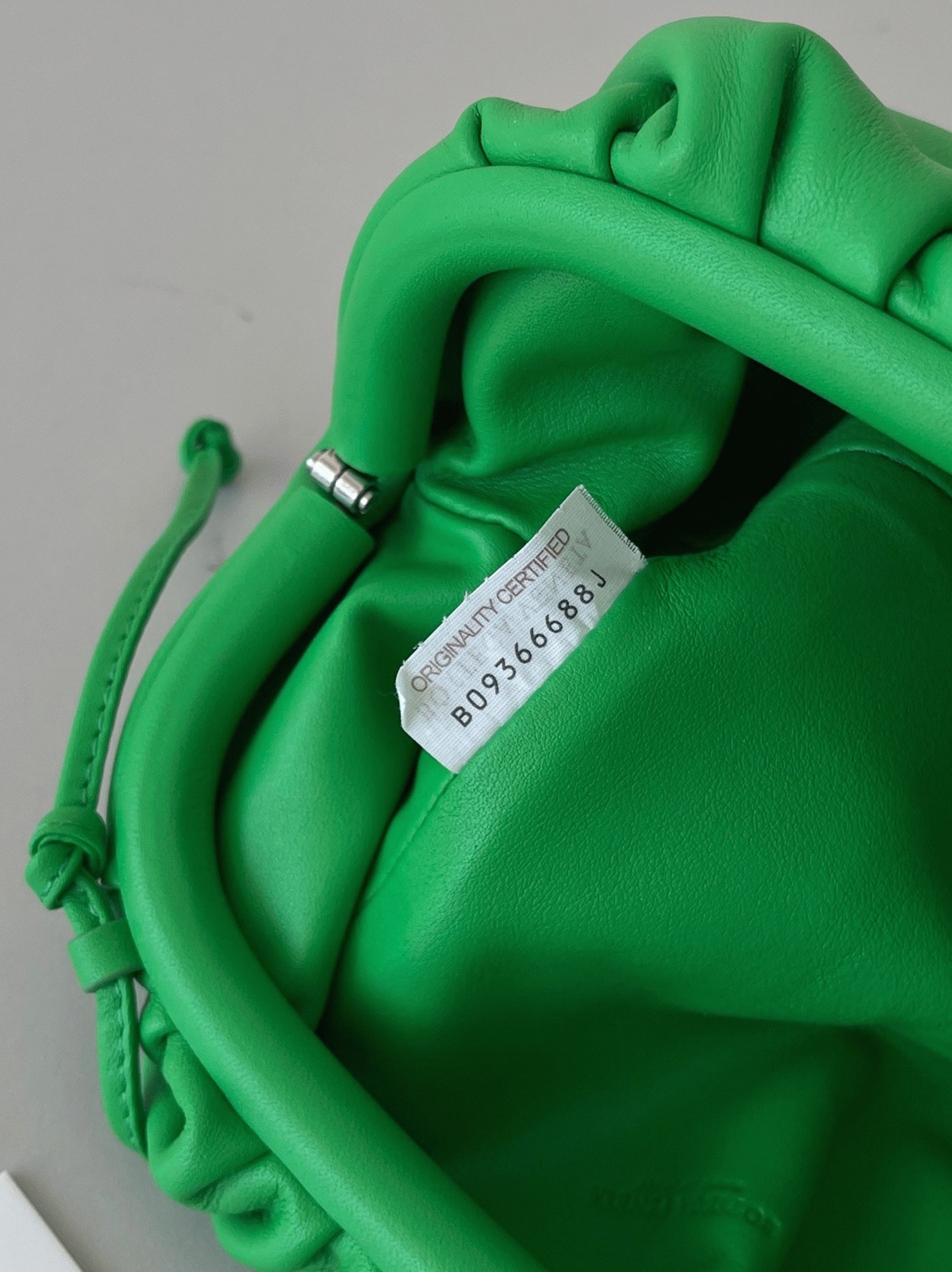Fake B0tt*ga Ven*ta Mini Pouch with Strap Parakeet