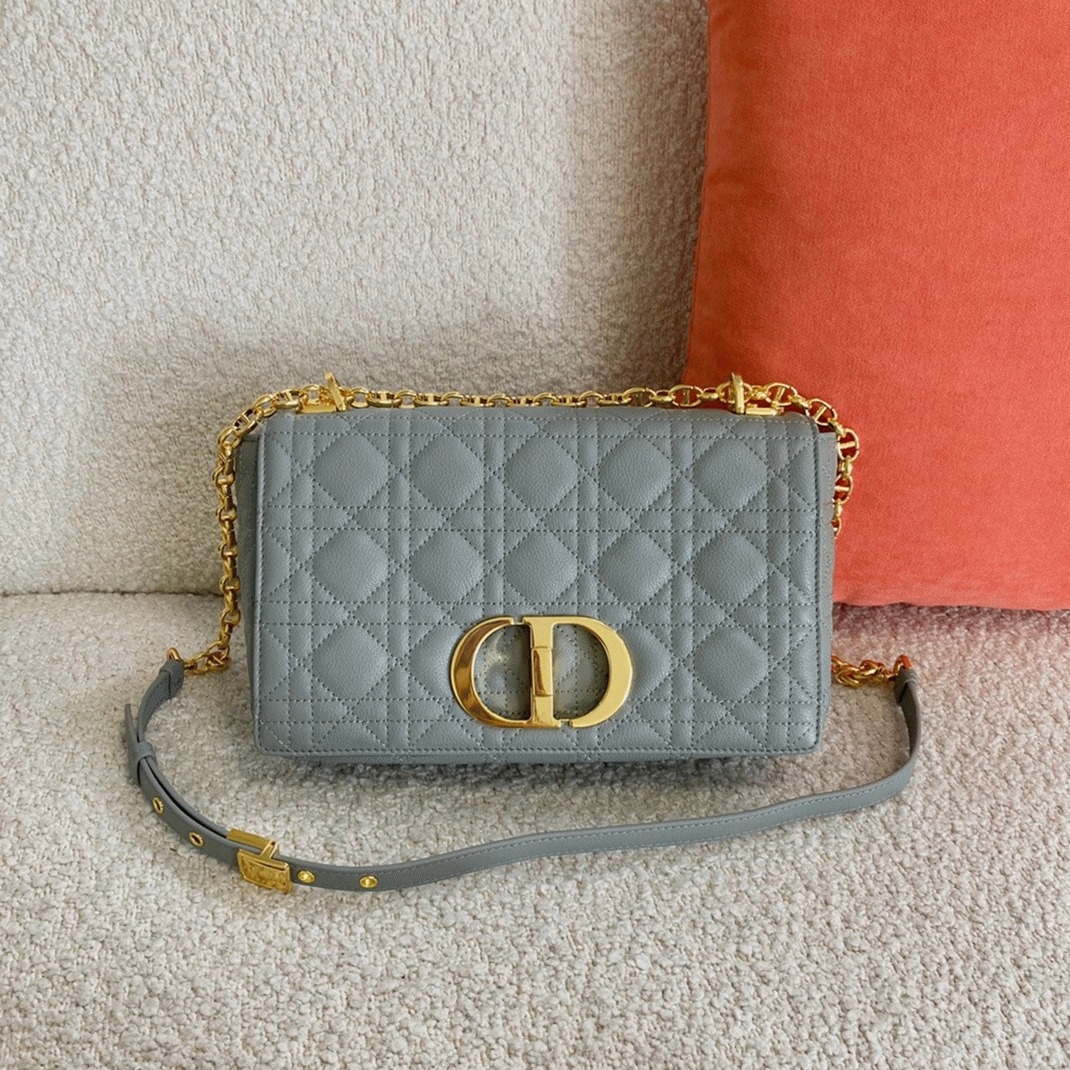 D10r Caro Medium Bag Knockoff in Grey