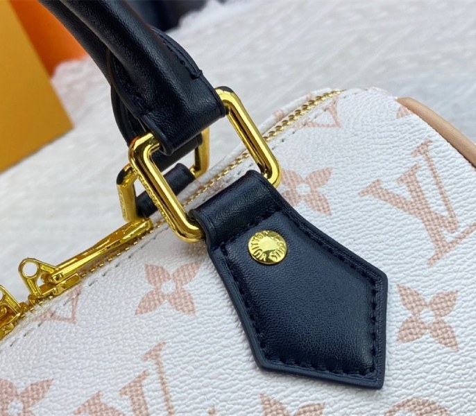L0vis Vvtt0n Monogram Dune Canvas Speedy 20 Handbag With Jacquard Strap
