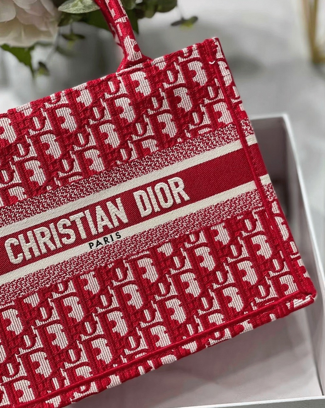 D10r Small Book Tote Bag Fake in Burgundy D10r Oblique Embroidery