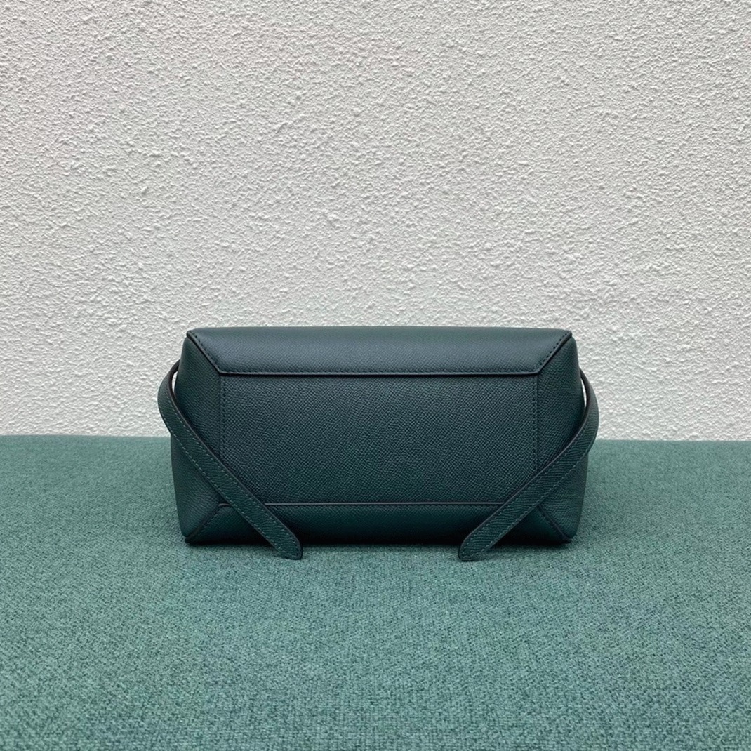 Ce1i*e Micro Belt Bag Fake in Amazone
