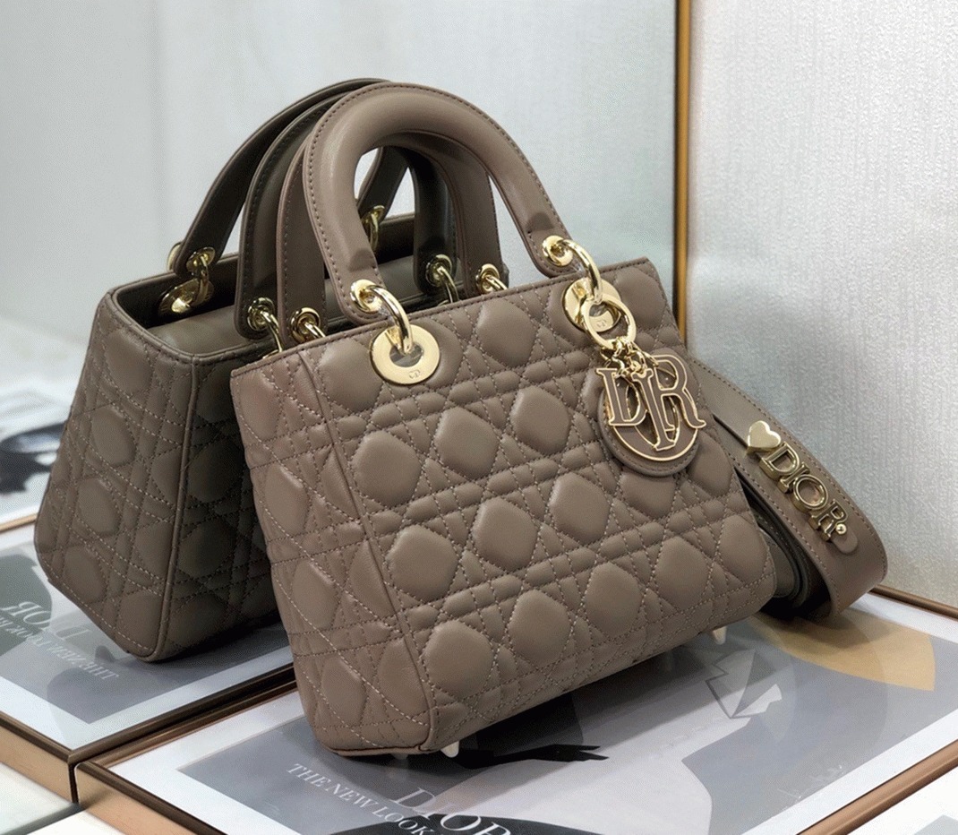 D10r Small Lady D10r My ABCD10r Bag Fake in Warm Taupe