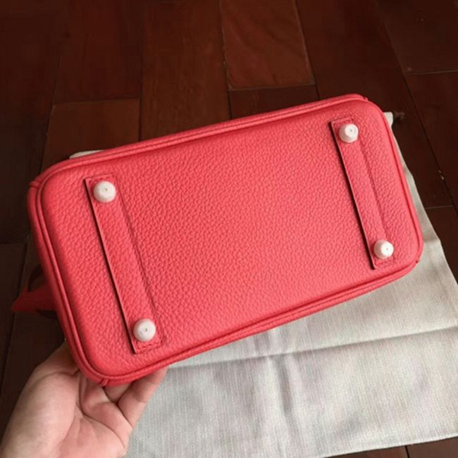 Bougainvillier H**me5 Birkin 25cm Top-Quality Fake