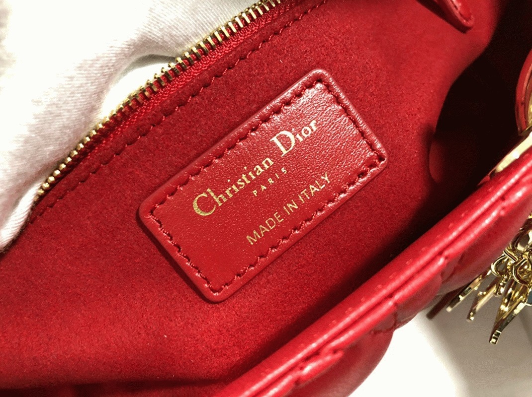 D10r Lady D10r Large Bag Replica in Red