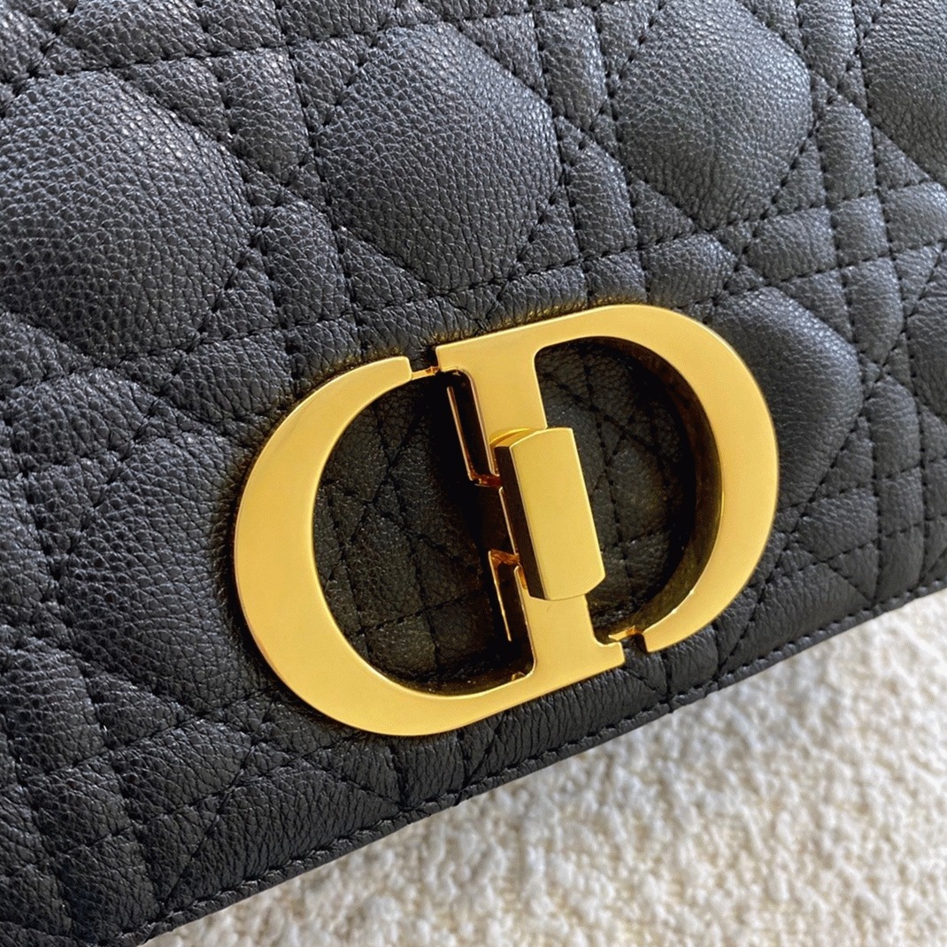D10r Caro Medium Bag Fake in Black