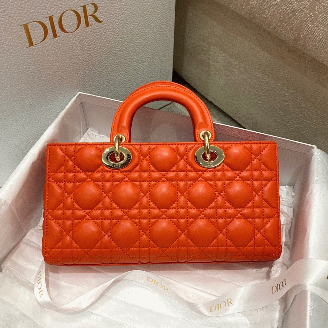 D10r Lady D-Joy Medium Bag Replica in Orange