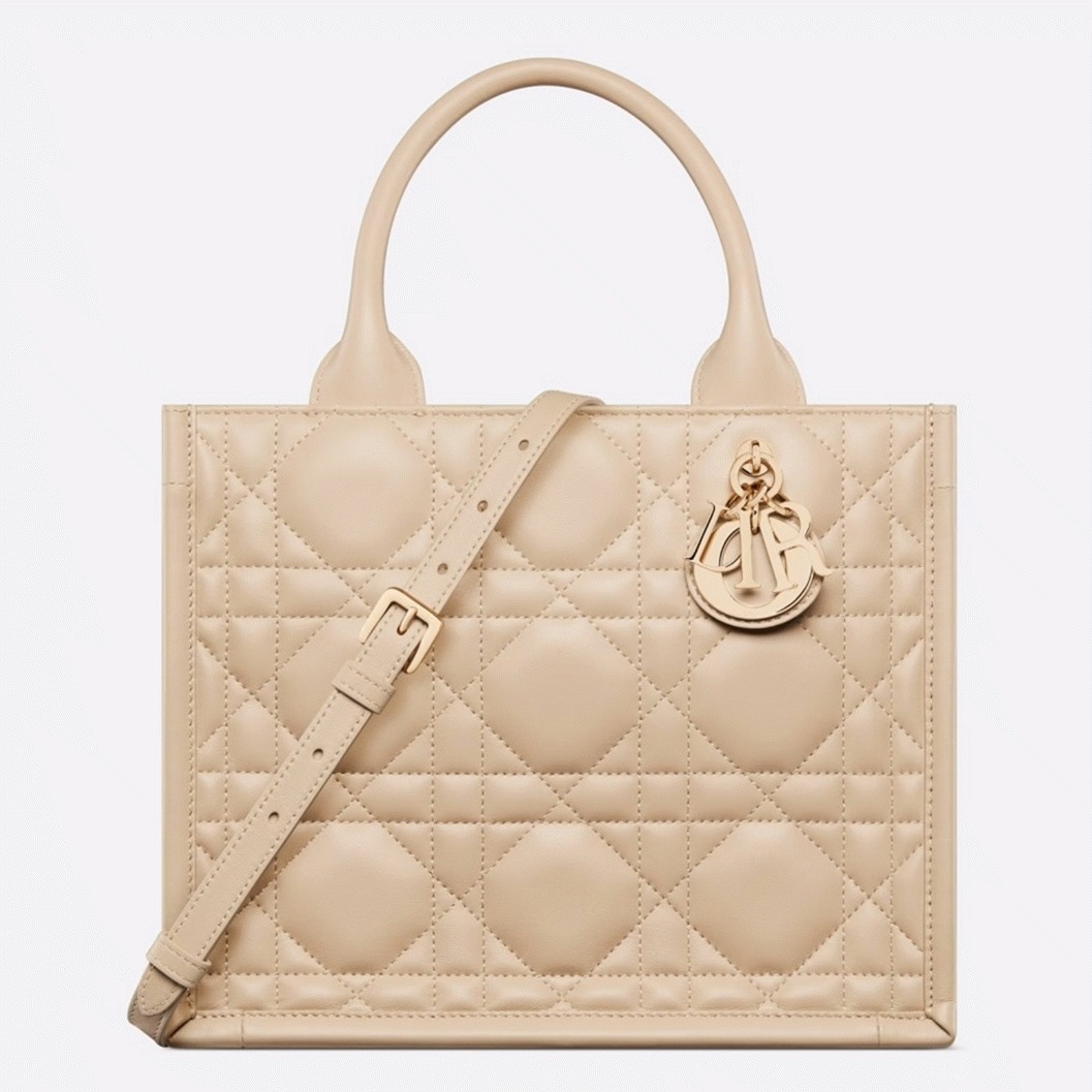 D10r Small Book Tote Bag Replica with Strap in Beige