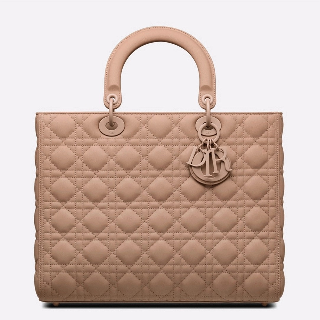 D10r Lady D10r Large Bag Knockoff in Blush