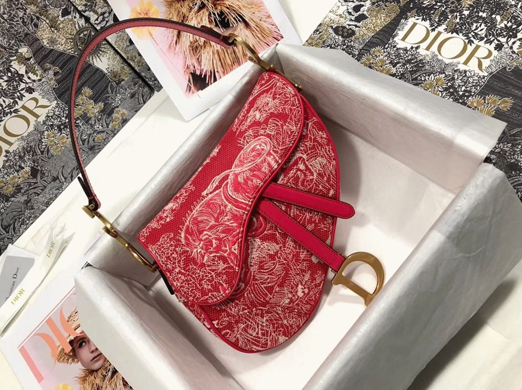 D10r Saddle Bag Imitation in Red Toile de Jouy Reverse Jacquard