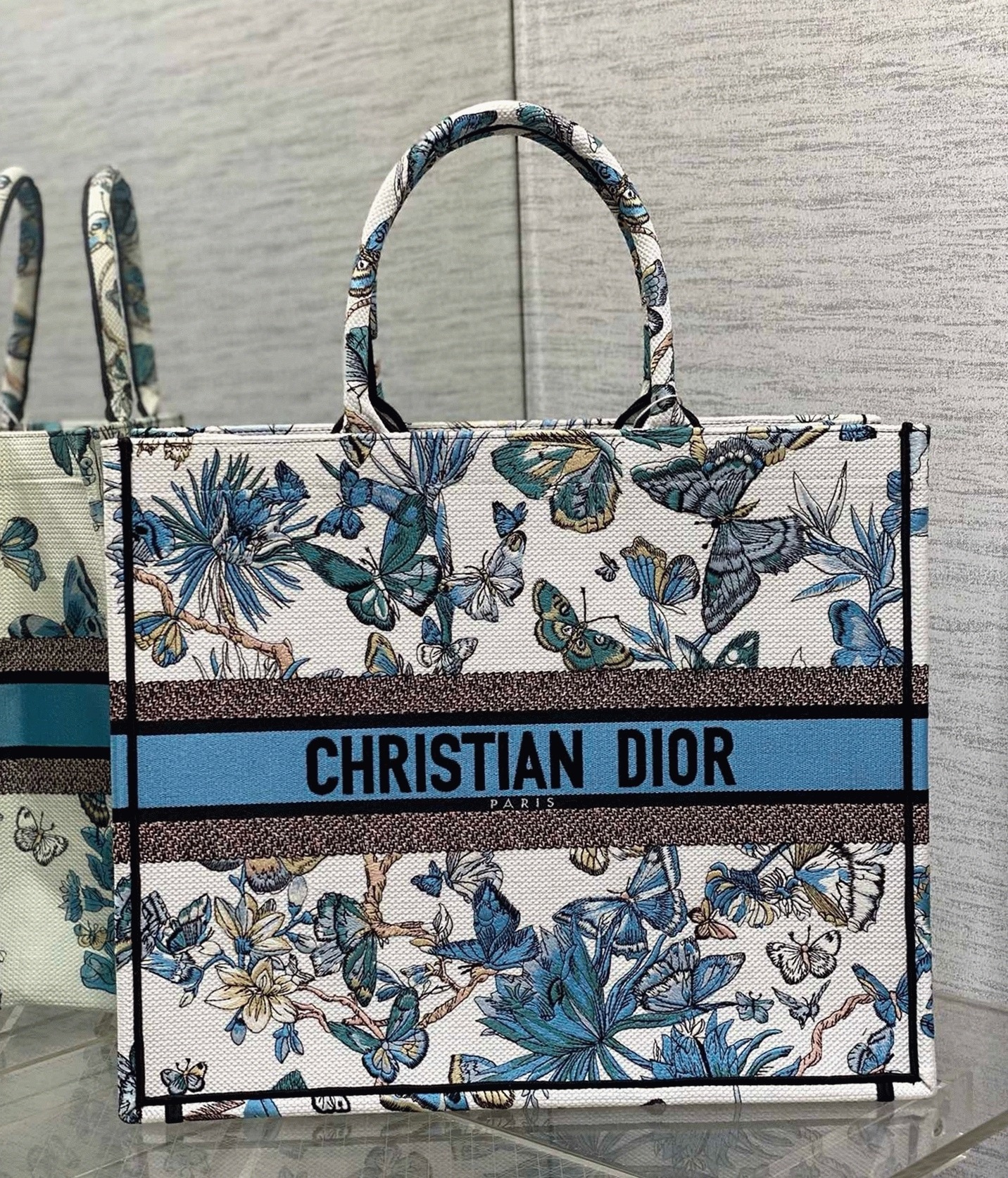 D10r Large Book Tote Bag Replica in White and Blue Toile de Jouy Mexico Embroidery