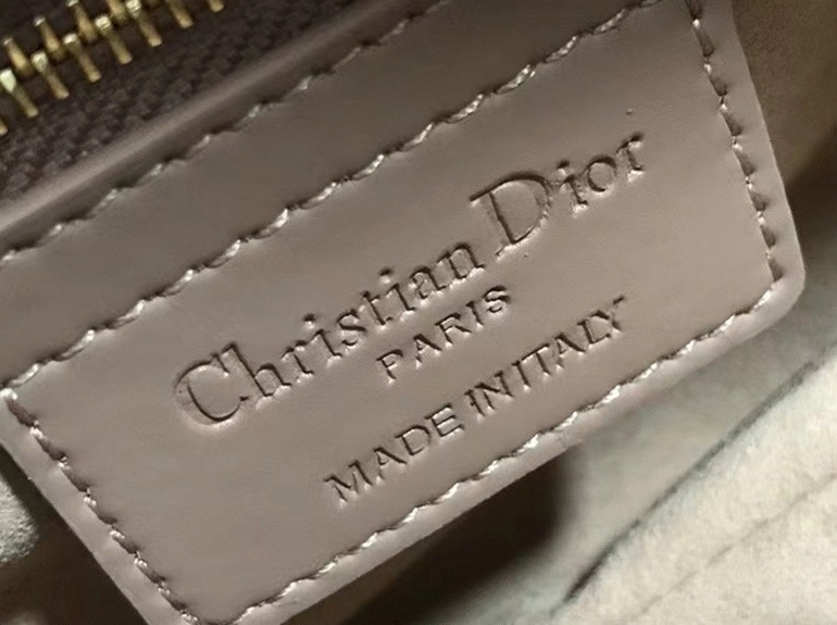 D10r Saddle Bag Replica in Blush Ultramatte Calfskin