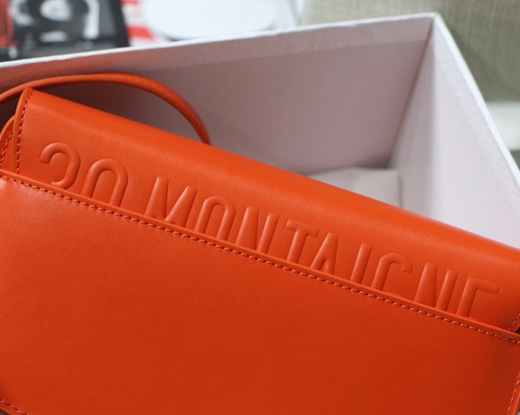 D10r Bobby East-West Bag Replica in Orange